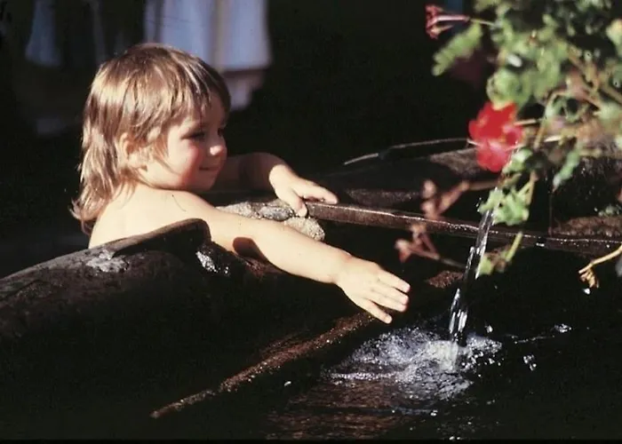 Maison A Louer Hébergement de vacances *